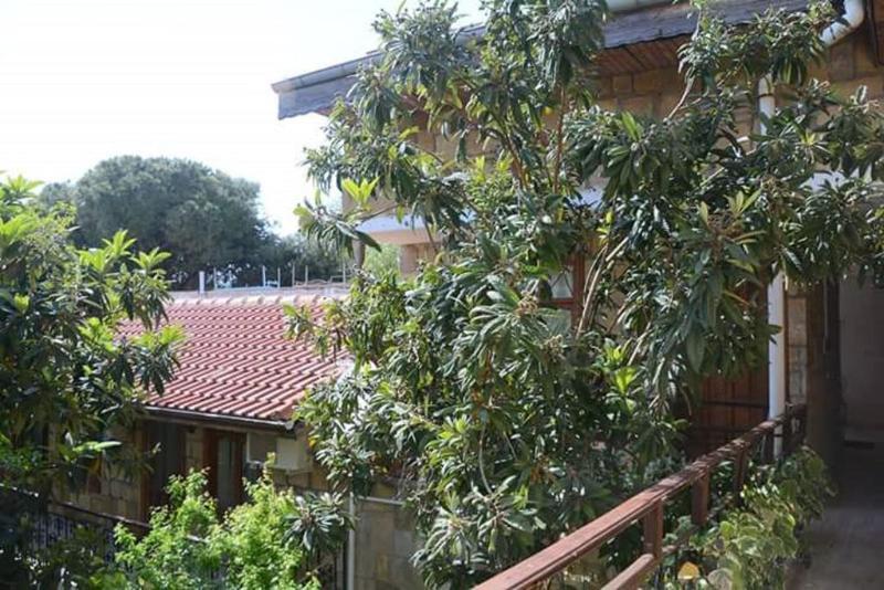 Antonios Motel Side Ngoại thất bức ảnh